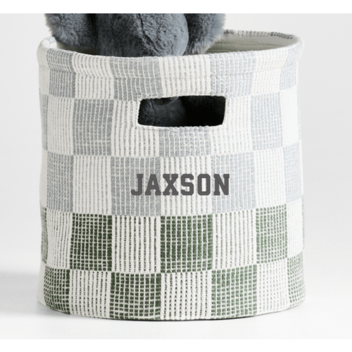 Hopscotch Mist Blue and Pine Green Checkerboard Shelf Storage Bin