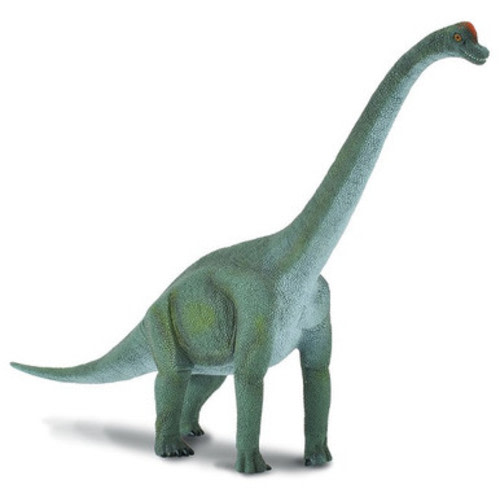 CollectA Dinosaurs - Brachiosaurus #88121 - 7 Inches Tall