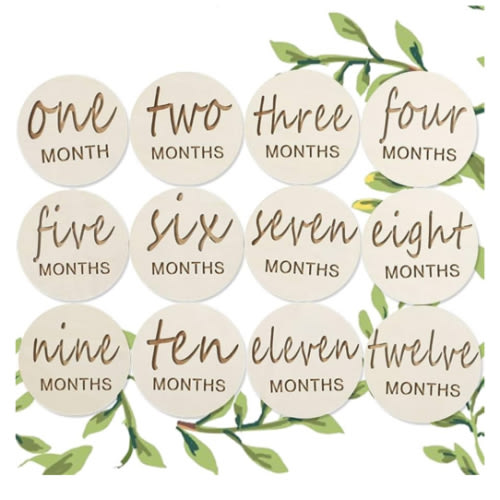 Wooden Baby Monthly Milestones for Newborn Baby,1-12 Months Baby Announcement Discs, Pregnancy Baby Shower Gifts (Wooden Milestone Discs)