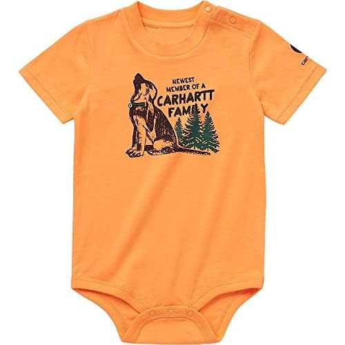 Carhartt baby-boys Short-sleeve Graphic Bodysuit