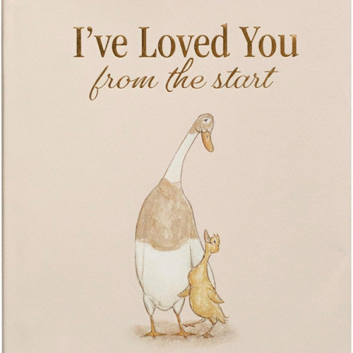 I've Loved You from the Start: A Tender Story of Unconditional Love (Tabitha Paige Children's Book Series)