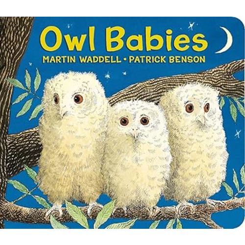 Owl Babies