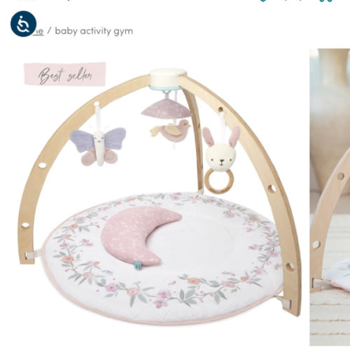 Baby Gym | Premium Baby Activity Gym | aden + anais