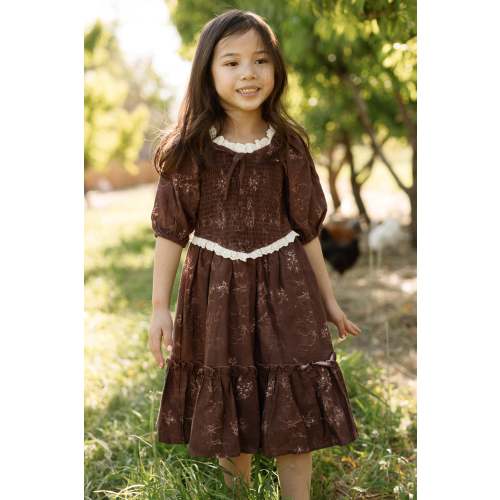 Mini Asha Dress in Warm Cocoa Valencia Toile