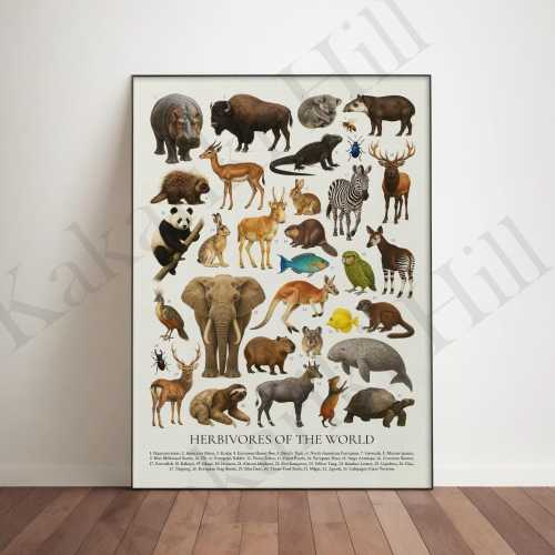Herbivores of the World Poster: Retro Animal Identification Chart
