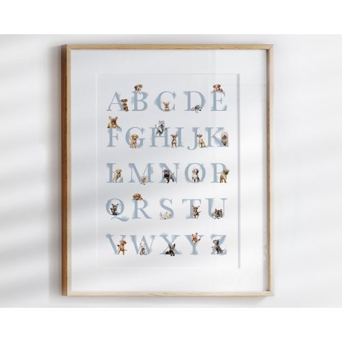 Puppy ALPHABET POSTER | Puppy Nursery Decor | Puppy Dog Wall Art for a Boy's Bedroom or Nursery | Dog ABC Poster | Alphabet nursery art
