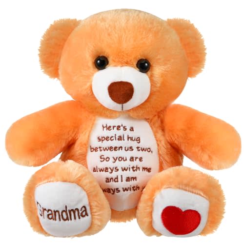 Liliful Sympathy Bears for Boys and Girls Loss of Grandma Memorial Bear, Grief Stuffed Animals, Grandma Remembrance Gift Bereavement Gifts, Grieving Plush Toy for Condolences Memorial Loss of Loved