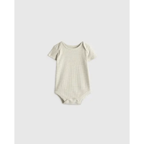 Softest Rib Short Sleeve Bodysuit in Grey Stripe