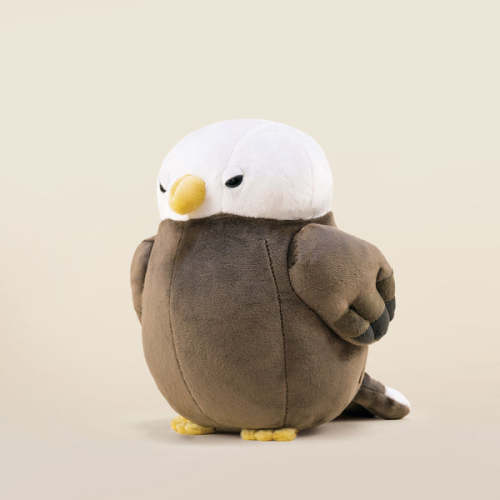 Baldi the Bald Eagle