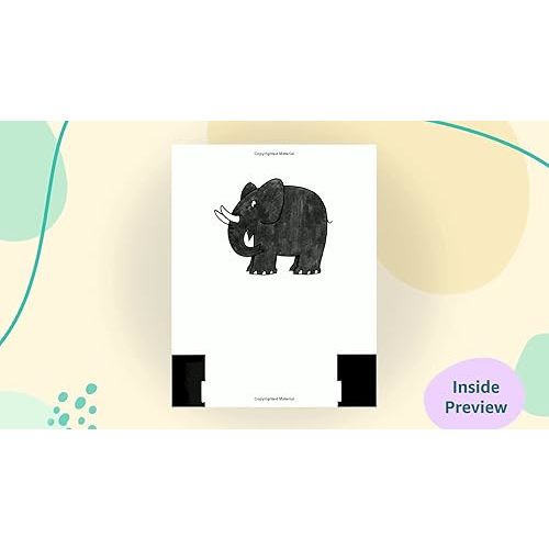 Dear Zoo: A Lift-the-Flap Book Board book – Lift the flap, May 8, 2007