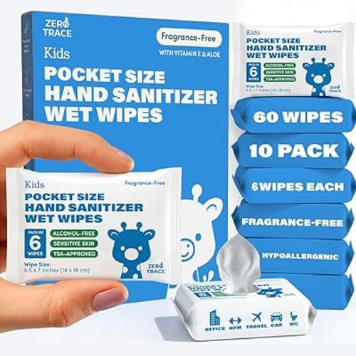 Zero Trace Pocket Hand Sanitizer Wipes – Alcohol-Free & Fragrance-Free – Kills 99.9% of Germs – Safe for Kids & Sensitive Skin – Travel Wipes – 60 Count (10 Packs of 6) – TSA Approved