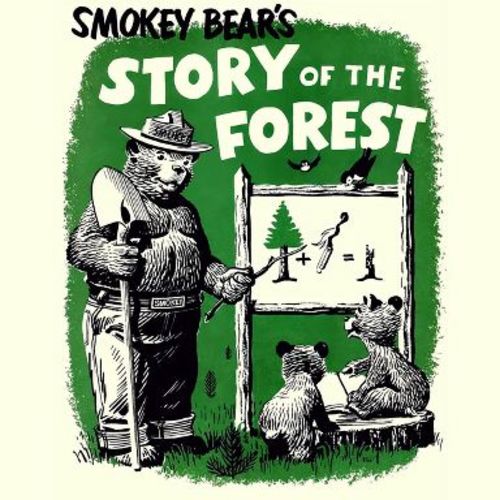 Poster Master Smokey Bear's Story 16x20