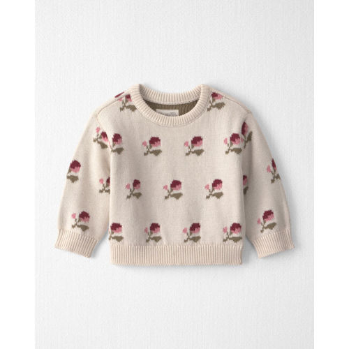 Baby Organic Cotton Sweater Knit Pullover in Wildflower Maize - Little Planet | Carter's