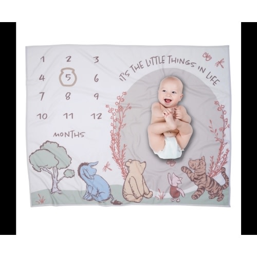 Pooh Bear & Pals Milestone Baby Blanket