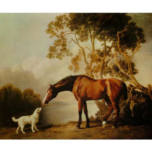 Bay Horse And White Dog Friends Animal Landscape Lake Painting by George Stubbs Repro on Matte Paper or Canvas FREE SHIPPING in USA