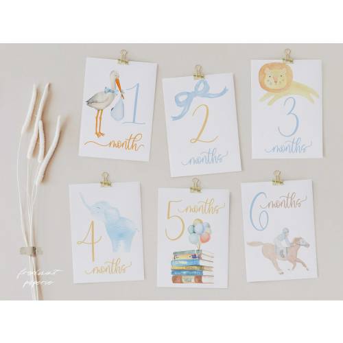 Milestone Cards, Monthly Milestone Cards, Baby Shower Gift, Newborn Photos, Watercolor Heirloom Milestone Cards, Set of 12 cards, Baby Boy