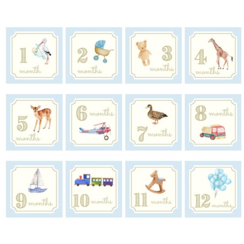 Baby Boy Milestone Cards | Baby Shower Gift | Gifts for Mom