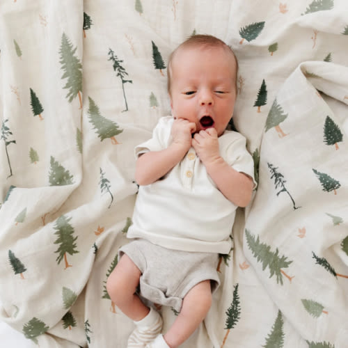 Cotton Muslin 2-Pack Swaddles – Soft & Breathable