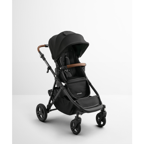 Single-to-Double Stroller 3.0
