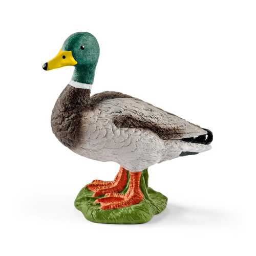 Drake 13824 | Schleich USA Inc.