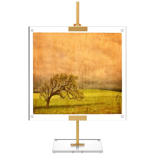 RattanView Adjustable Tabletop Easel Stand with Clear Acrylic Floating Photo Frame Set 16.5" Metal Picture Easel Display Stand for Picture, Art, Photos, Poster, Signs(Gold,Acrylic Base)