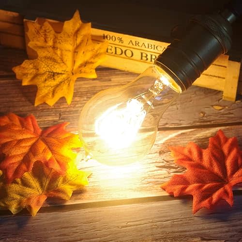 Soft Light Bulb 60 Watt, Dimmable A19 Antique Vintage Old Fashioned E26 Incandescent Light Bulbs, Amber Warm White