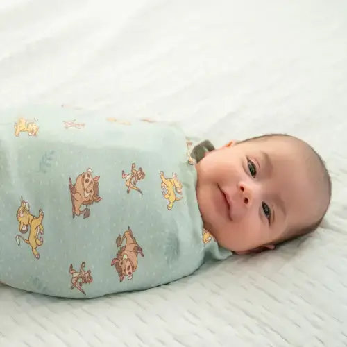 Lion King Swaddle | Newborn | HALO