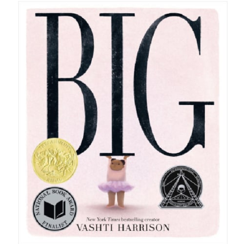 Big (Caldecott Medal Winner) by Vashti Harrison, Hardcover | Barnes & Noble®