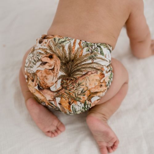Cloth Nappy 2.0 - Dino Land