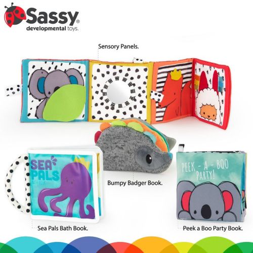 Sassy Toys Rookie Books Gift Set - 4pc