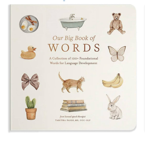 Our Big Book of First Words: A Collection of 100+ Foundational Words for Language Development (Tabitha Paige Children's Book Series)