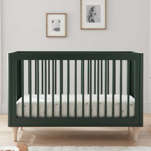 Lolly 3-in-1 Convertible Crib with Toddler Bed Conversion Kit - Retail Exclusive