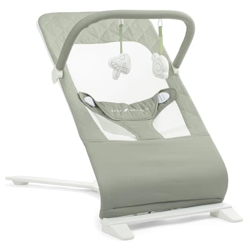 Baby Delight Alpine Deluxe Portable Bouncer, Organic Sage | Infant 0-6 Months, 3-Position Recline, 3-Point Safety Harness, 100% GOTS Certified Cotton Fabric Removable & Washable Cover