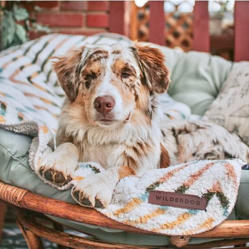 Sherpa Fleece Waterproof Blanket