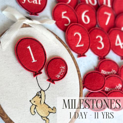 Milestone Photo Prop Classic Winnie The Pooh Baby Shower Gift New Baby Daily Weekly Monthly Yearly Markers Embroidered Interchangeable Age