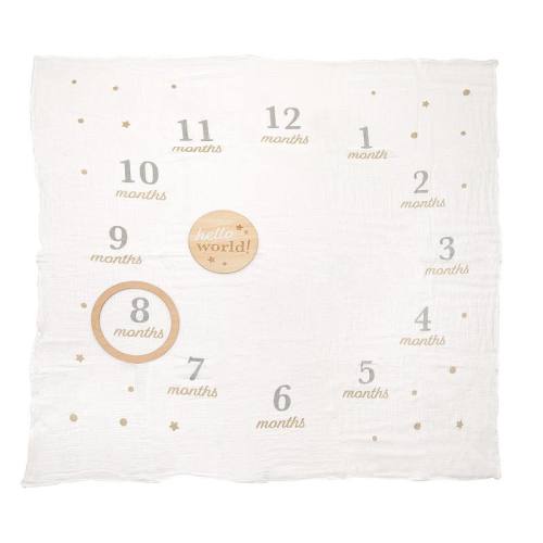 Pearhead Monthly Milestone Blanket and Wooden Photo Prop Set