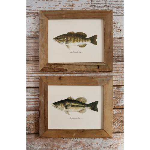 2 PRINTS, Largemouth Bass and Smallmouth Bass, 2 fish prints, 8x10 or 11x14, Christmas present, gift, fishing, fisherman