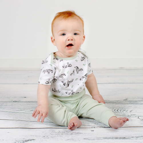 Burt's Bees Baby 4-Piece Playwear Set
