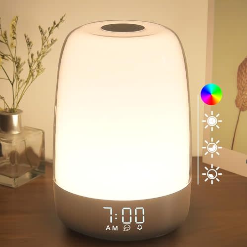 winshine Touch Wake Up Night Light with Sunrise Simulation Alarm Clock, 3 Ways Dimmable Warm White Bedside Lamp for Kid Bedrooms RGB Ambient Table Nightstand Light,Sleep Aid Snooze Timer Mode | Wake Up Light Sunrise Simulation, 3 Ways Dimmable RGB Ambi...