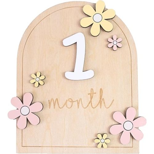 Baby Monthly Milestone Sign,1-12 Monthly Milestone Signs, Baby Girl Nursery Decoration, Newborn Photography Props Double-Sided (M01)