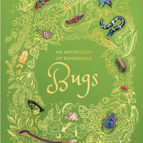An Anthology of Remarkable Bugs (DK Children's Anthologies)
