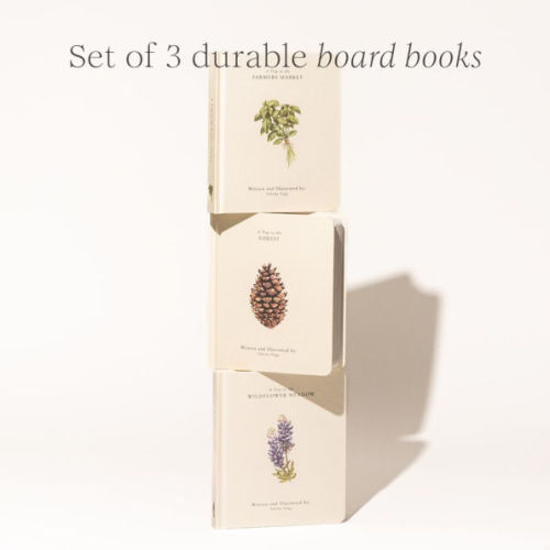 Our Little Adventures: Stories Featuring Foundational Language Concepts for Growing Minds by Tabitha Paige, Board Book | Barnes & Noble®