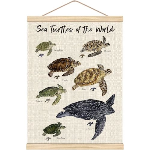 HKTZM Sea Turtle Wall Art, 12.5x17 Inch Poster With Wooden Hanger, Coastal Beach Bathroom Decor