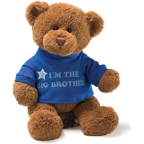 GUND “I’m The Big Brother” Message Bear with Blue T-Shirt, Teddy Bear Stuffed Animal for Ages 1 and Up, Brown, 12”