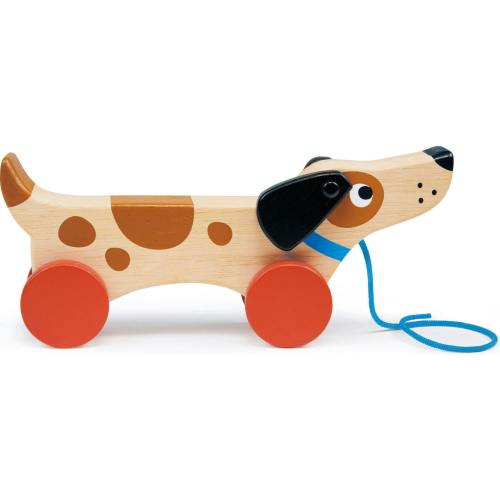 Puppy On Wheels