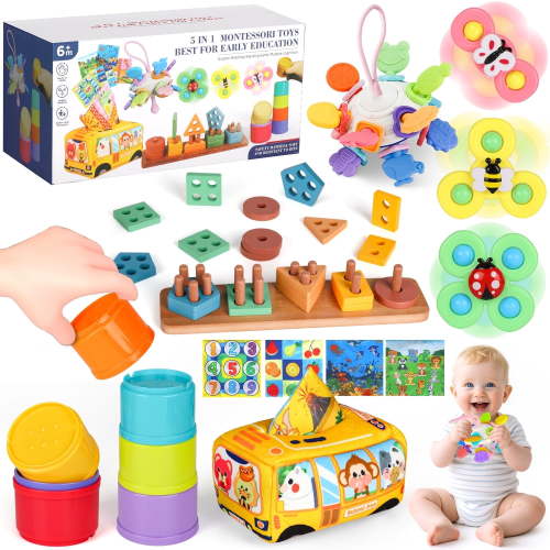 Flooyes 5-in-1 Montessori Toys Set, Early Education Toy For Kid Age 6-12 Months with Stacking Toys