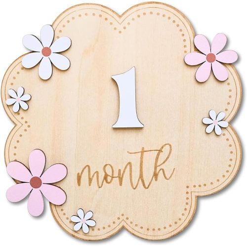 Baby Girl Monthly Milestone Signs, 1-12 Monthly Baby Milestone Girl, Newborn Photography Props Double-Sided, Nursery Decor for Girls (M03)