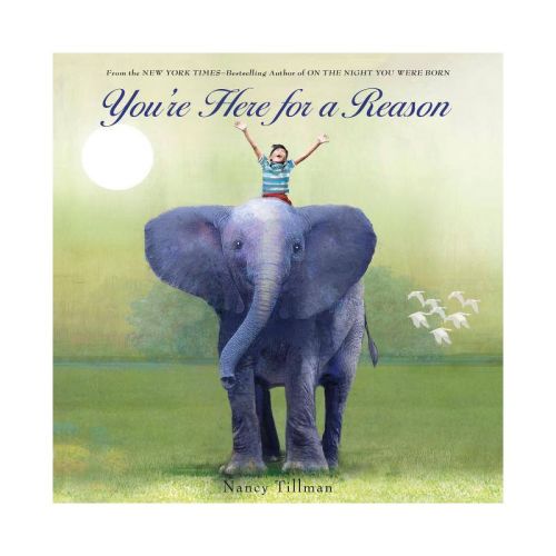 You're Here for a Reason - by Nancy Tillman (Board Book)