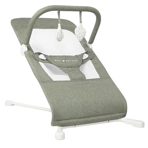Baby Delight Highland Baby Bouncer, Sage Tweed