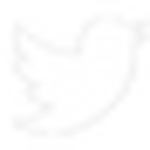 Tallow Tush™- Tallow Based Diaper Crème 4 oz